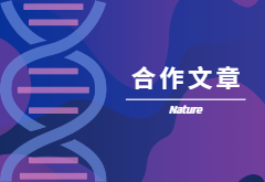 登顶Nature|产量+抗性，鱼和熊掌也可兼得